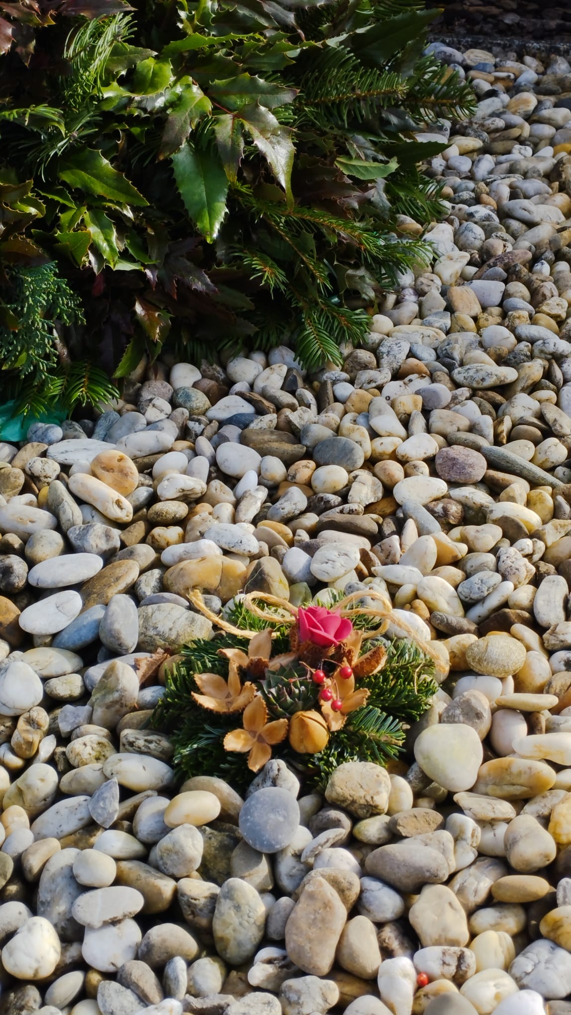 WhatsApp Image 2025-10-31 at 19.55.21 (1).jpeg